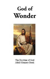 God of Wonder